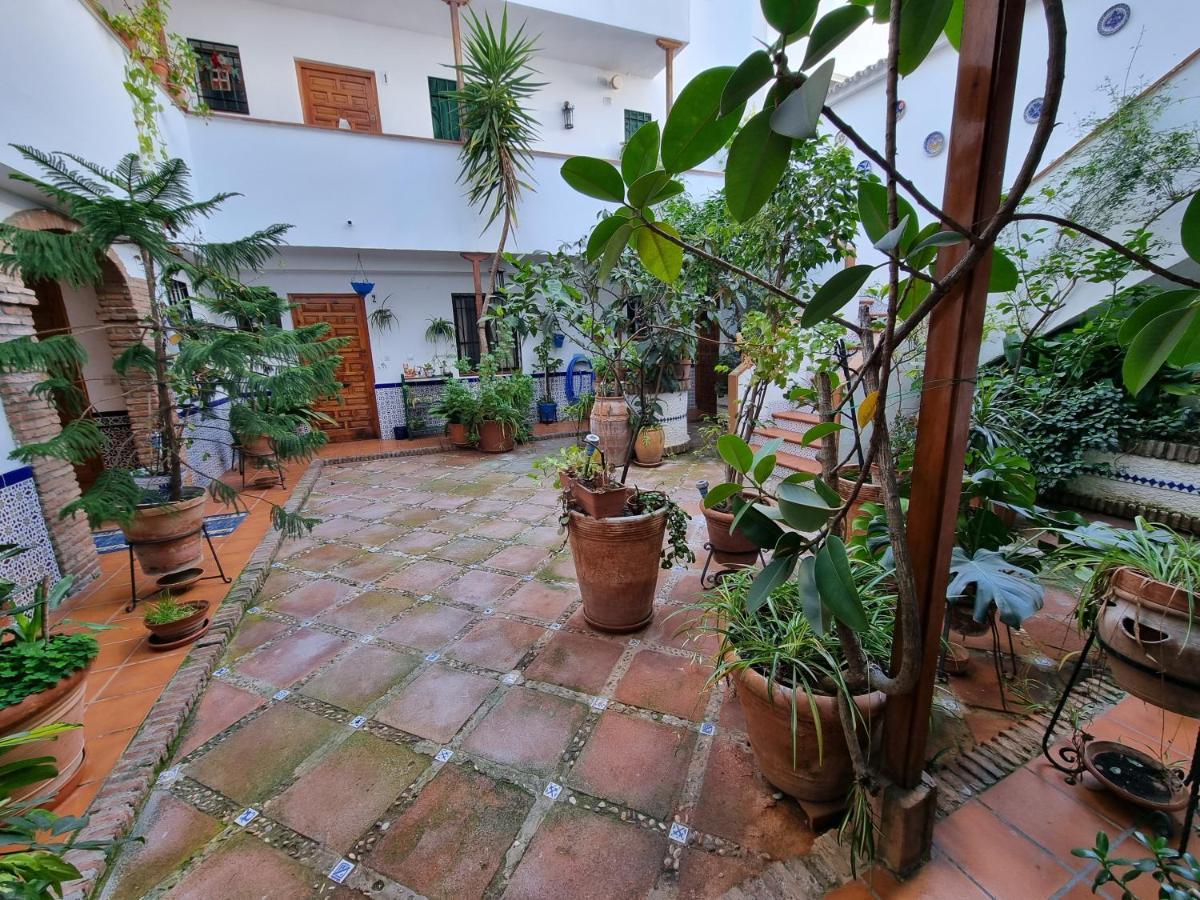 Apartamento De Estreno En Los Patios Tipicos De San Basilio Cordoba Exterior photo